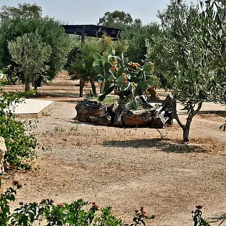 公寓 Masseria Belvedere 切萨雷奥港